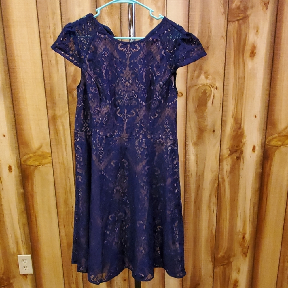 Modcloth Navy Lace Dress
